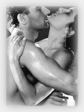 Paixão Incompatibilidade e Hormônios