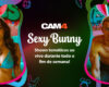 Neste fim de semana, as coelhinhas sensuais estão de volta ao Cam4! #Sexybunny 🐇🥕