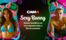 Neste fim de semana, as coelhinhas sensuais estão de volta ao Cam4! #Sexybunny 🐇🥕