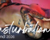 Masturbation Weekend CAM4 - As fotos mais QUENTES 🔥💦